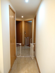 Tanamera Crest (D16), Condominium #368614381